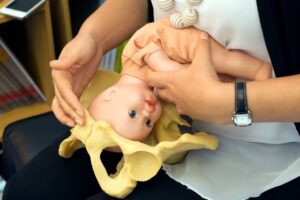 Demonstration des Geburtsvorgangs mit Puppe und Beckenmodell in einem Geburtsvorbereitungskurs – Doula-Begleitung, Hypnobirthing und mentale Geburtsvorbereitung in Frankfurt, Oberursel oder Bad Homburg