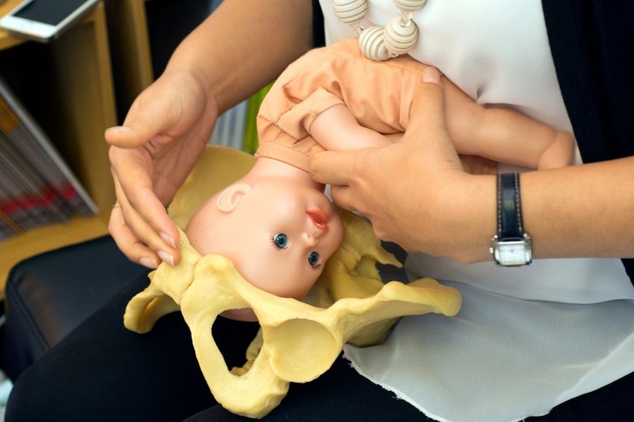 Demonstration des Geburtsvorgangs mit Puppe und Beckenmodell in einem Geburtsvorbereitungskurs – Doula-Begleitung, Hypnobirthing und mentale Geburtsvorbereitung in Frankfurt, Oberursel oder Bad Homburg
